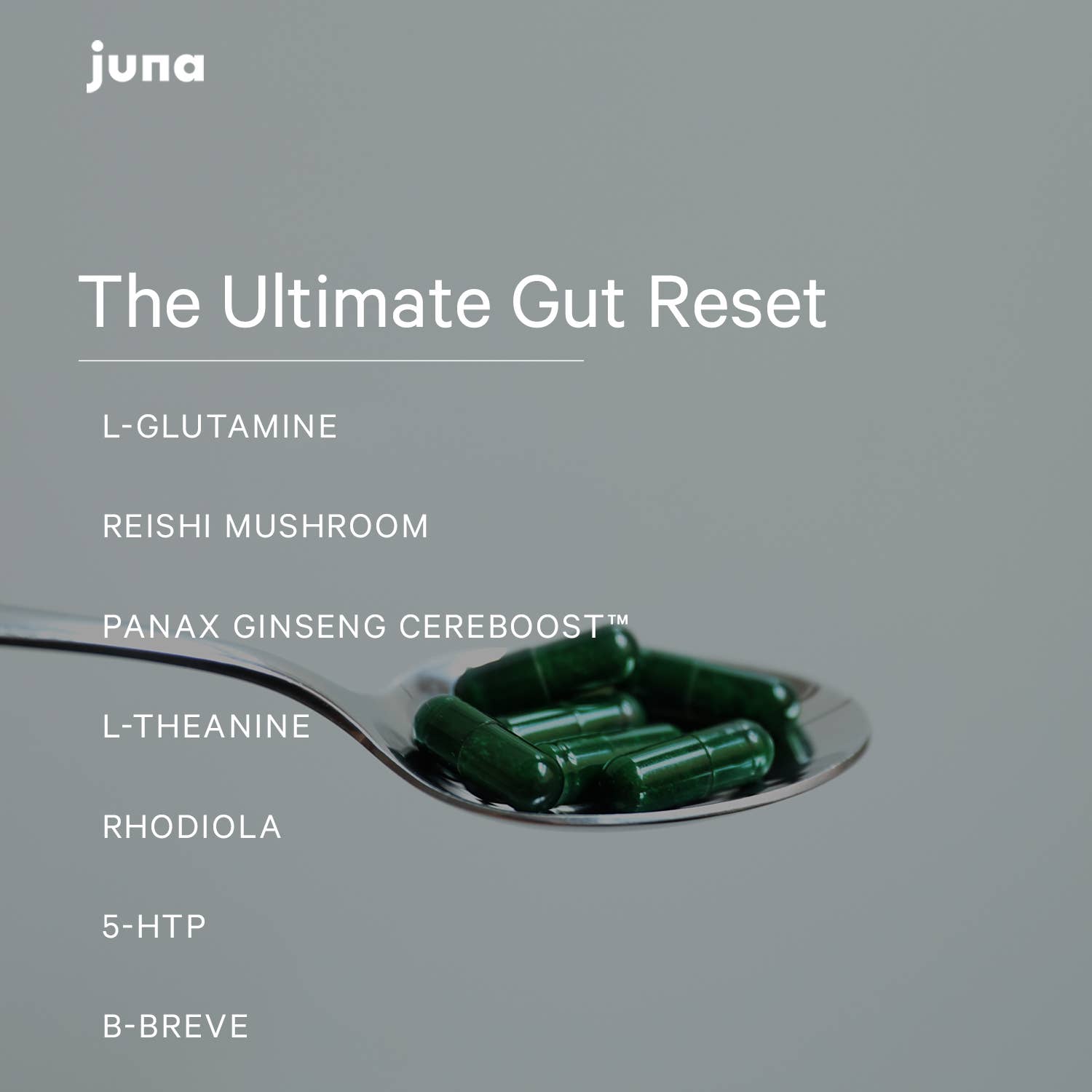 Gut Therapy | Juna