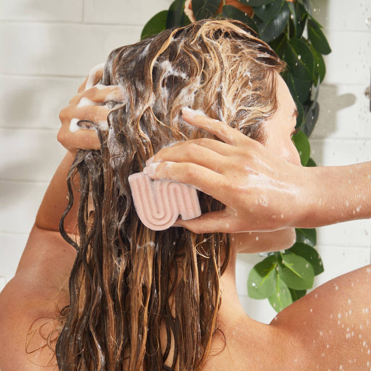 Repairing Argan Oil Shampoo Bar | KITSCH