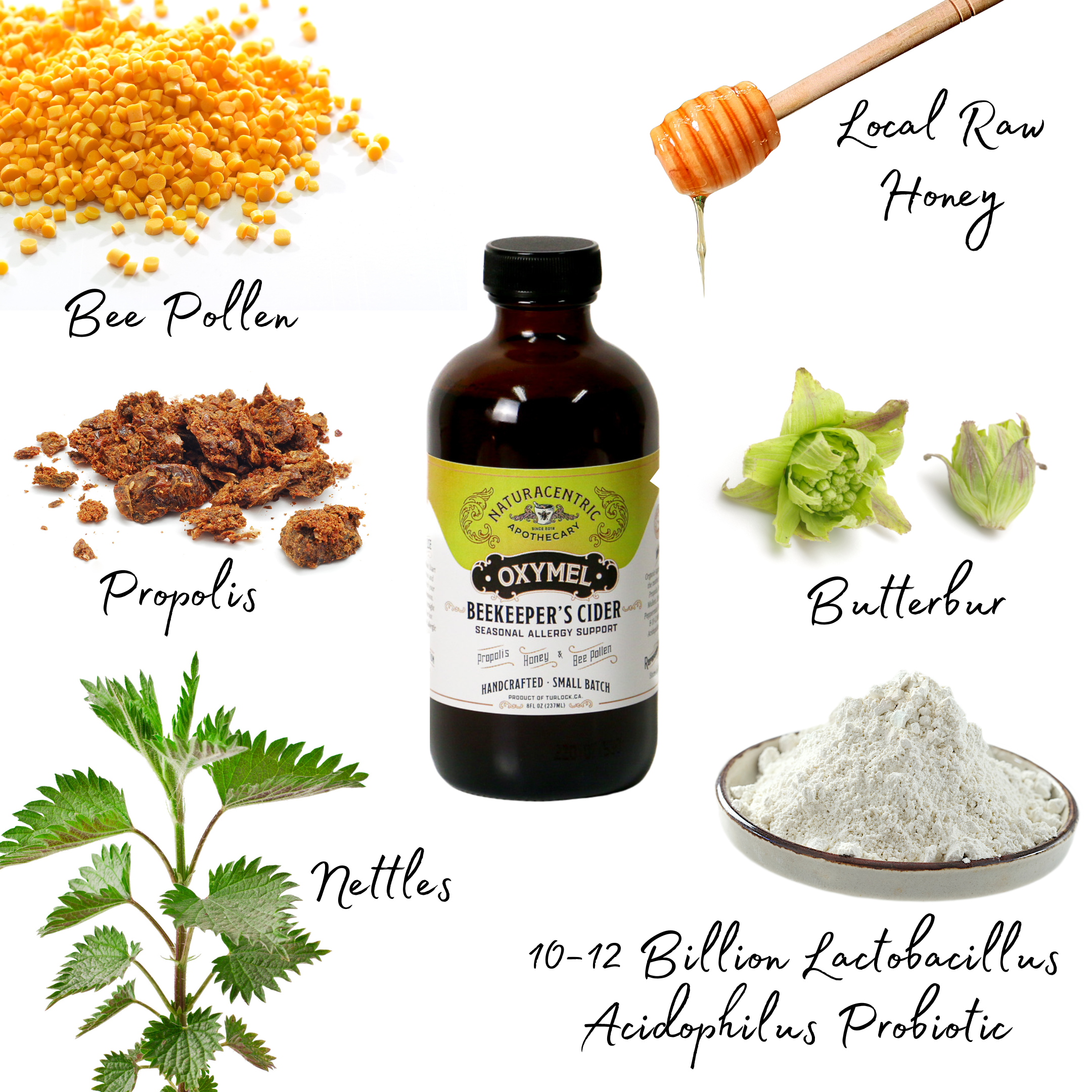 Beekeeper's Cider Oxymel | Naturacentric