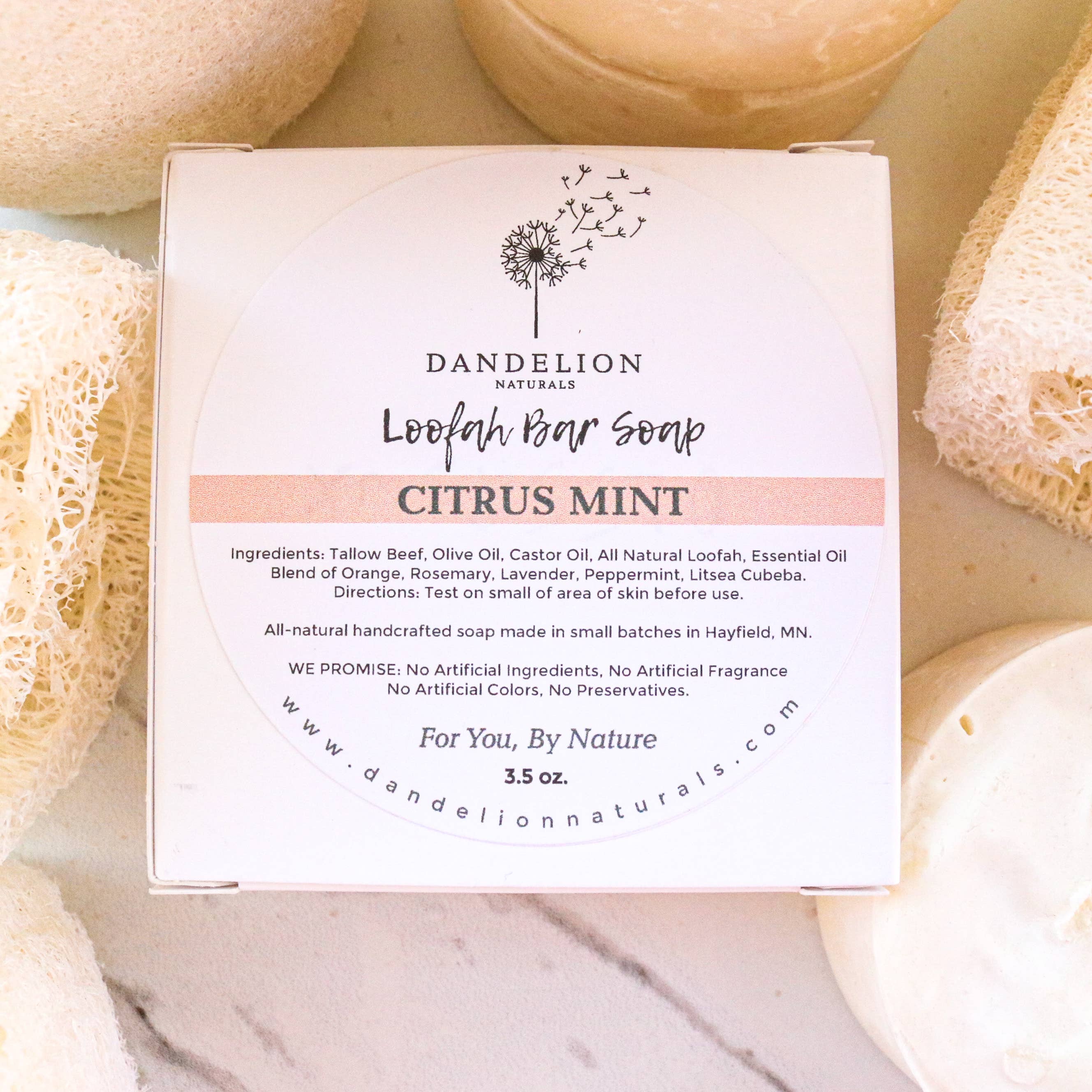 Exfoliating Tallow Bar Soap with Loofah Citrus + Mint | Dandelion Naturals