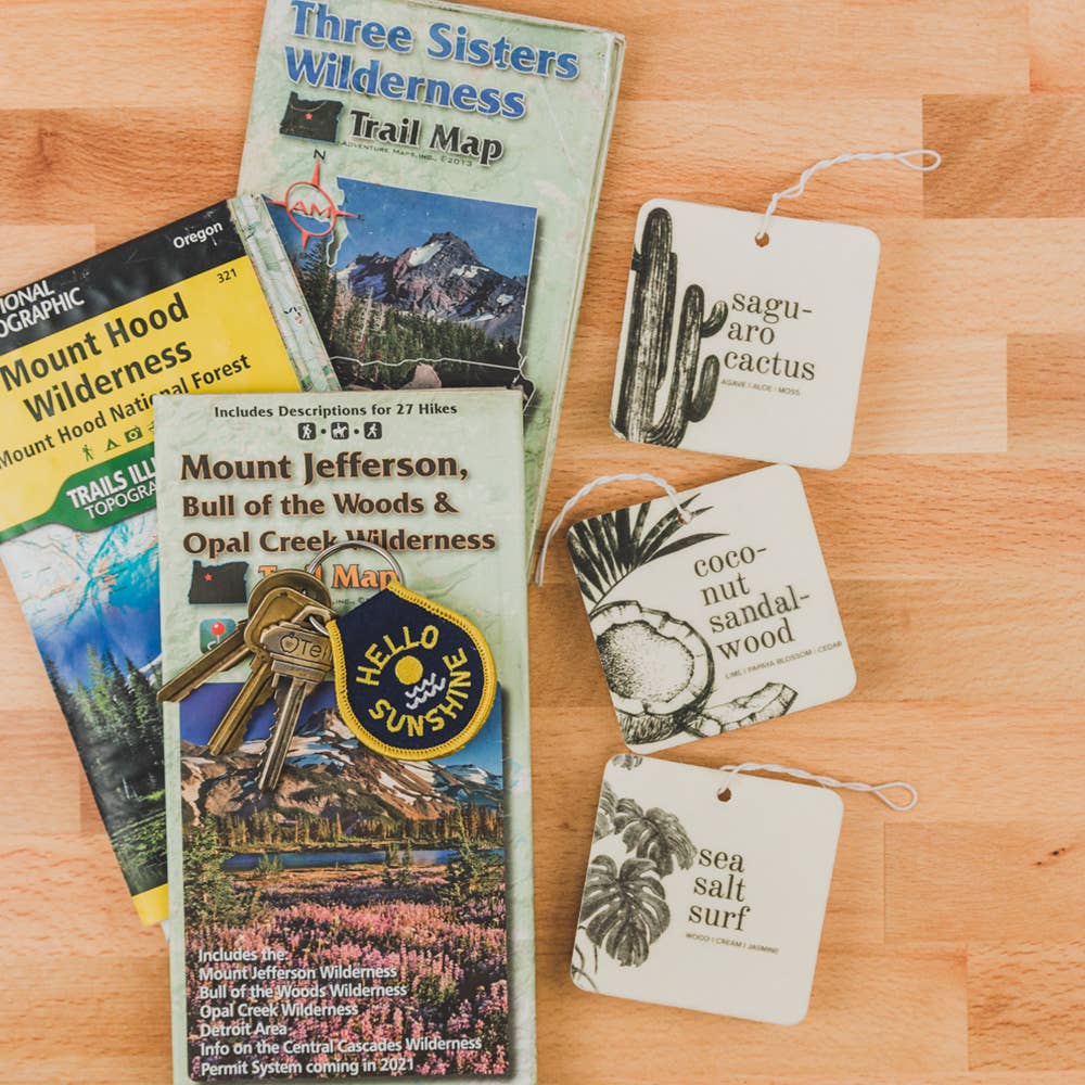 Car Fresheners Saguaro Cactus | Broken Top Goods