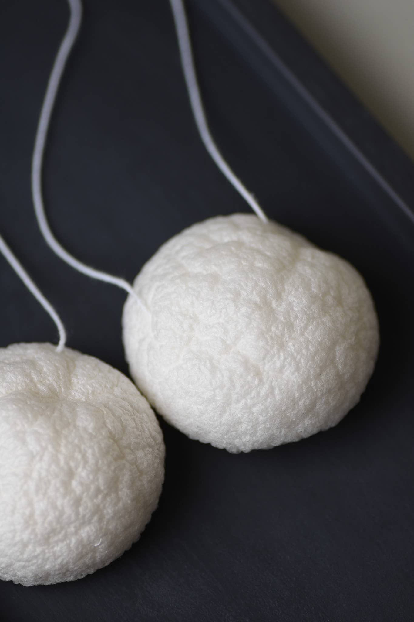 Facial Sponge | Reformation Refill