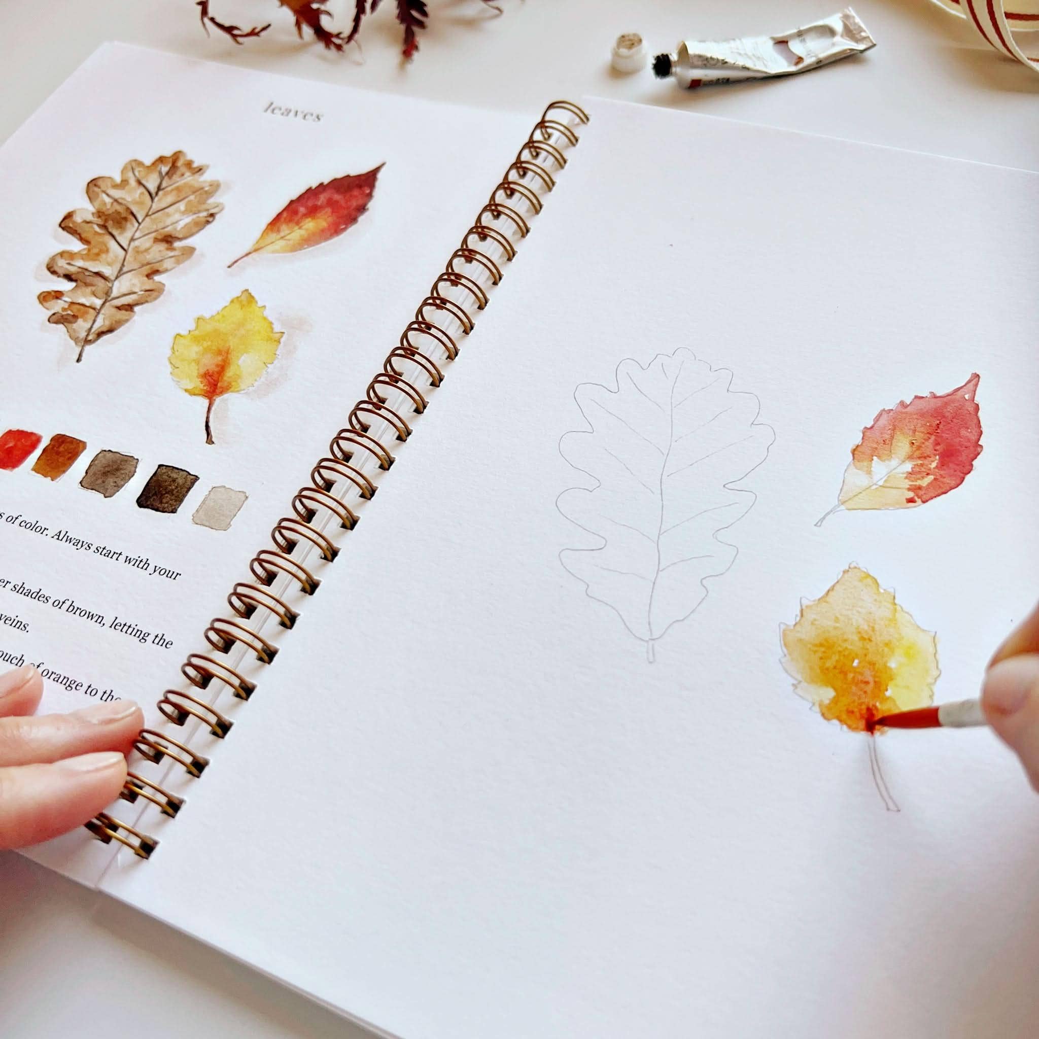 Autumn watercolor workbook | Emily Lex Studio