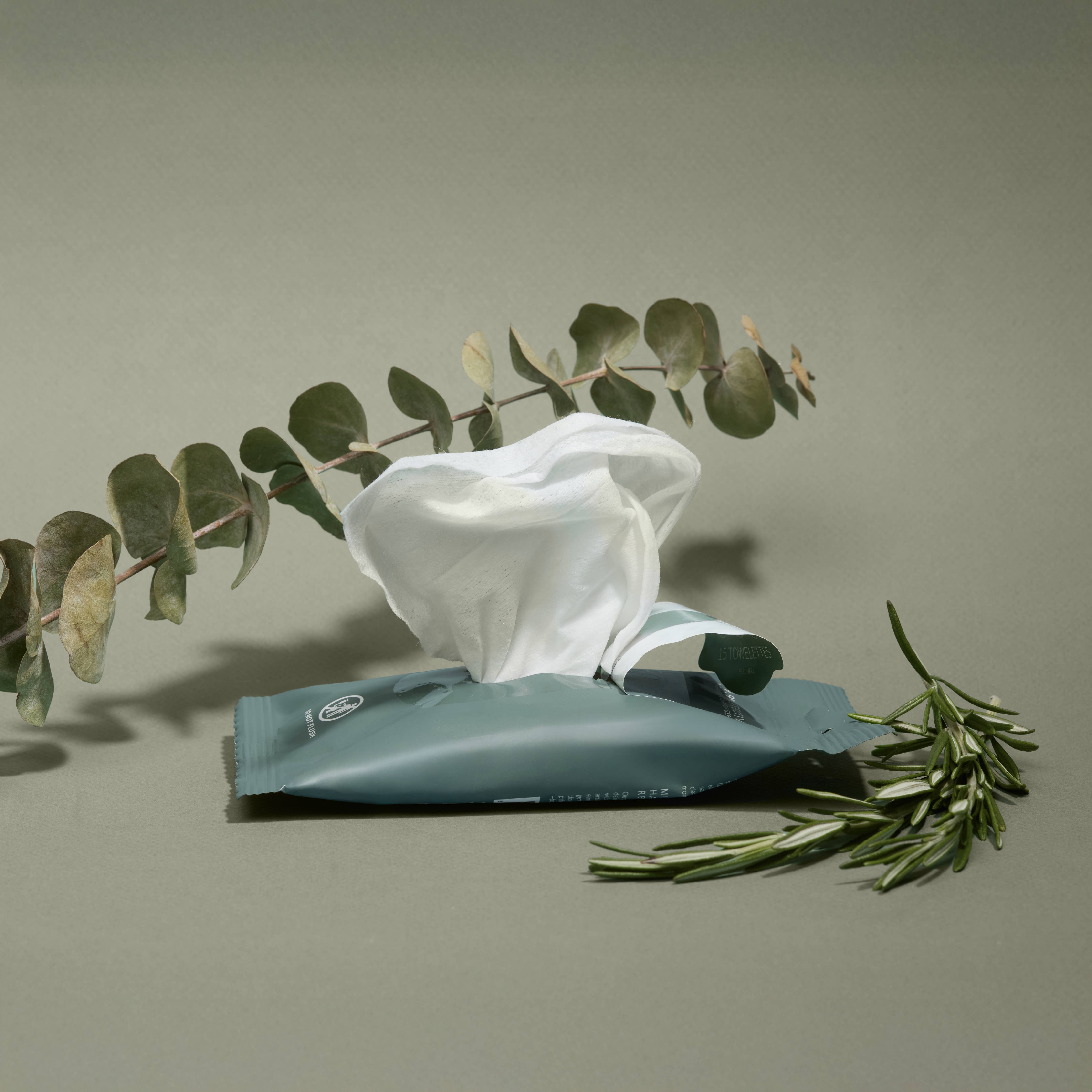 Eucalyptus Nourishing Hand Sanitizing Travel Wipes | Noshinku