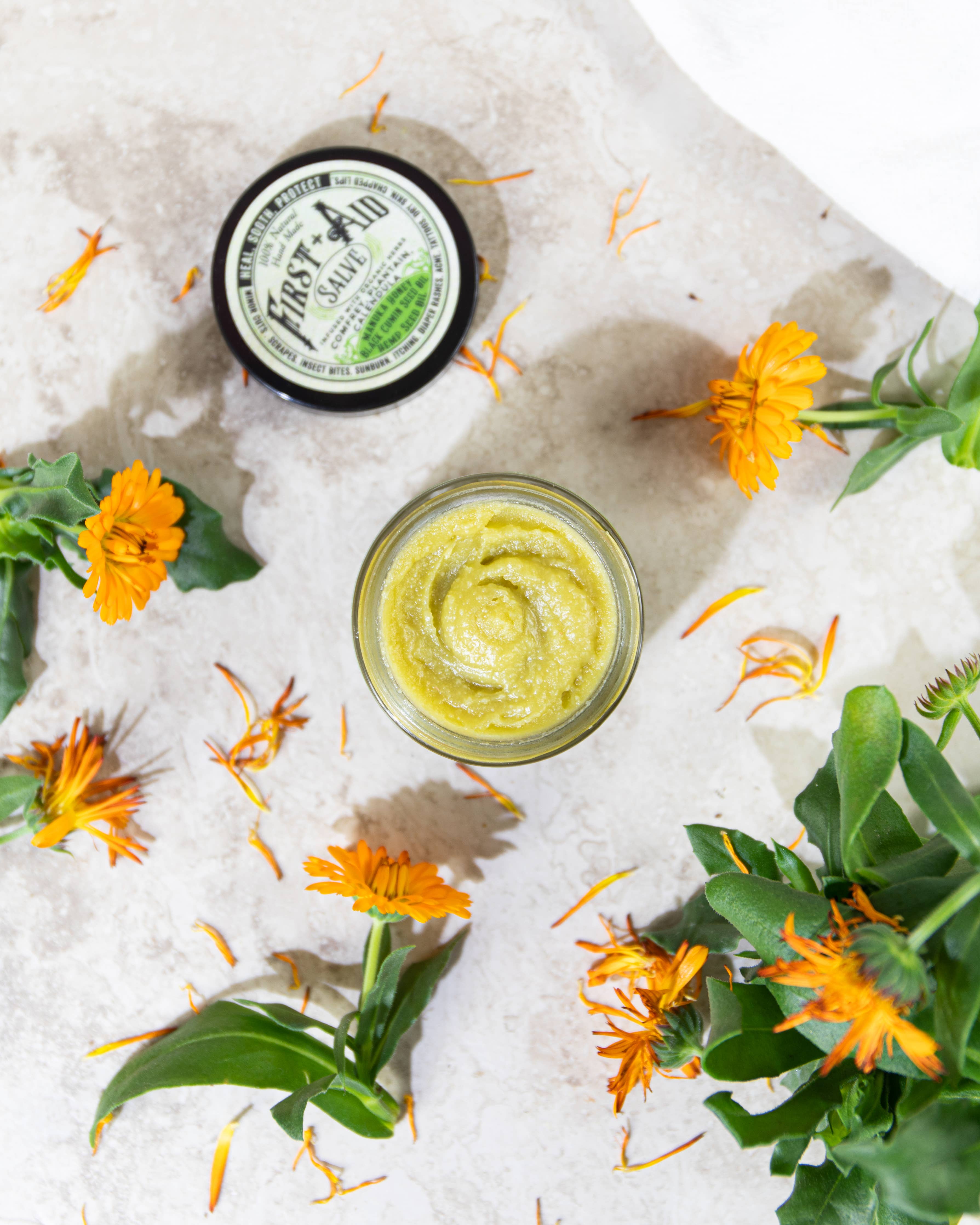 First Aid Salve | Roots and Leaves
