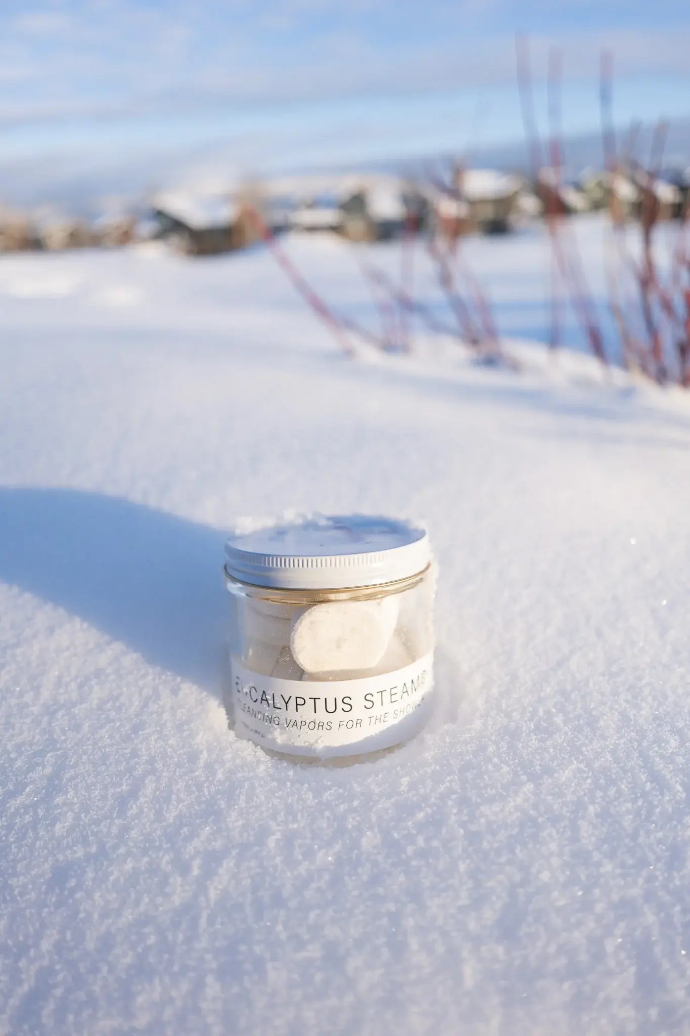 EUCALYPTUS STEAM® Cleansing vapors for the shower® (GRANDE) - No Tox Life