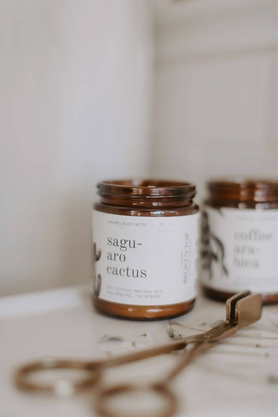 Saguaro Cactus Natural Soy Candle 9 oz | Broken Top