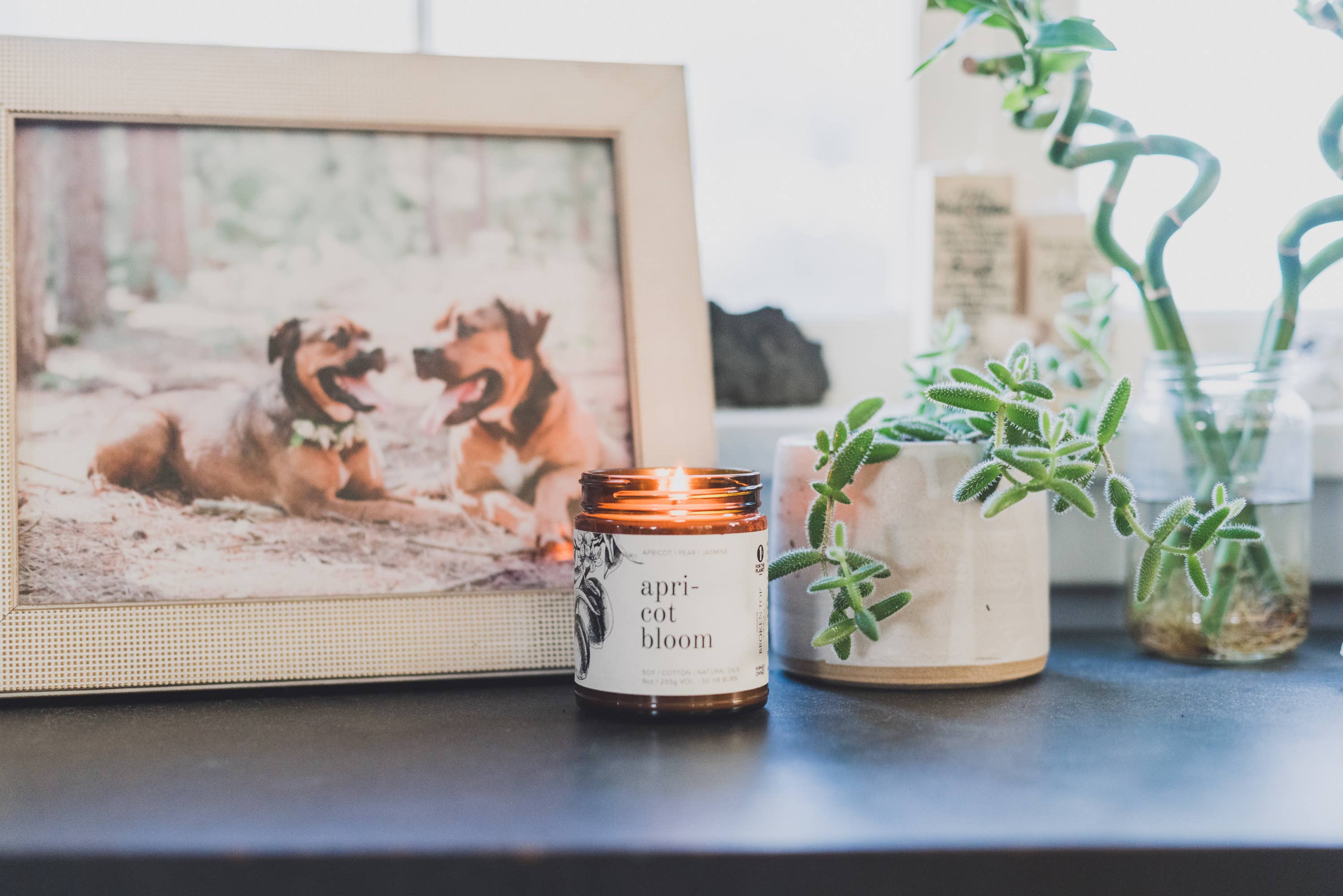 Natural Soy Candle 9 oz Apricot Bloom | Broken Top Goods