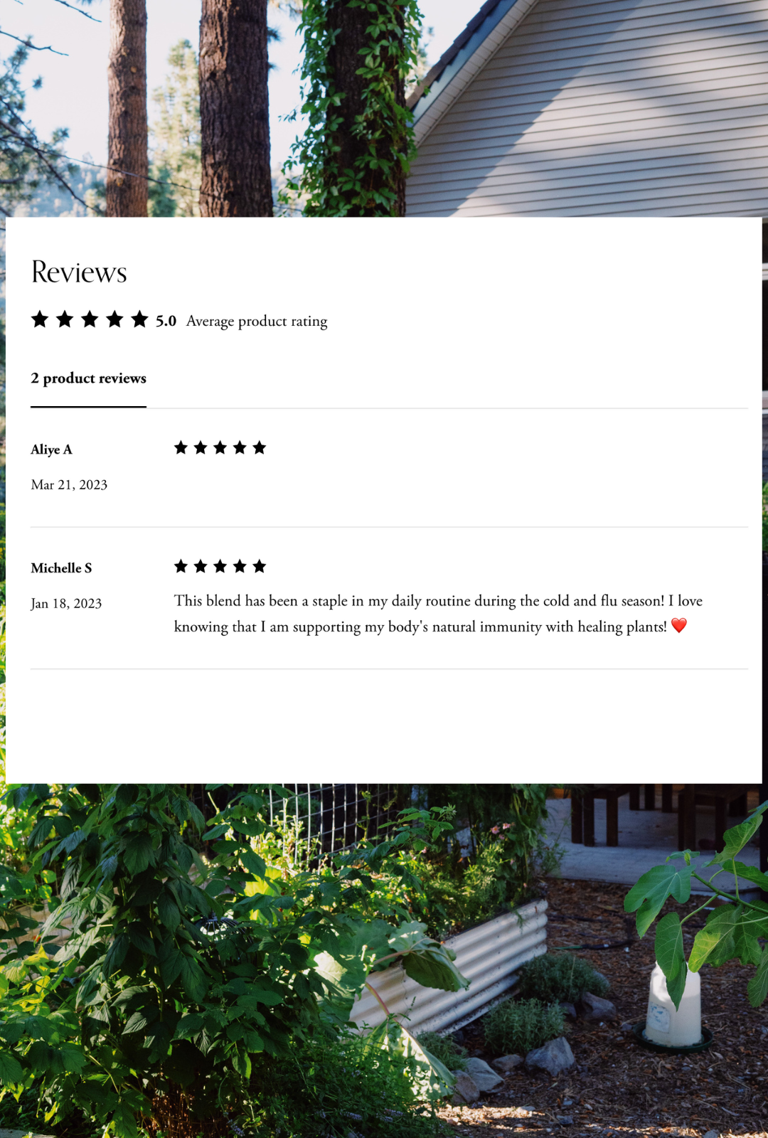 Immunity Blend Loose Leaf Herbal Tea | Support for Wellness | Growing Up Rooted