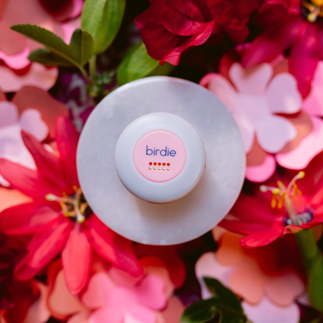 Birdie Disc | She’s Birdie