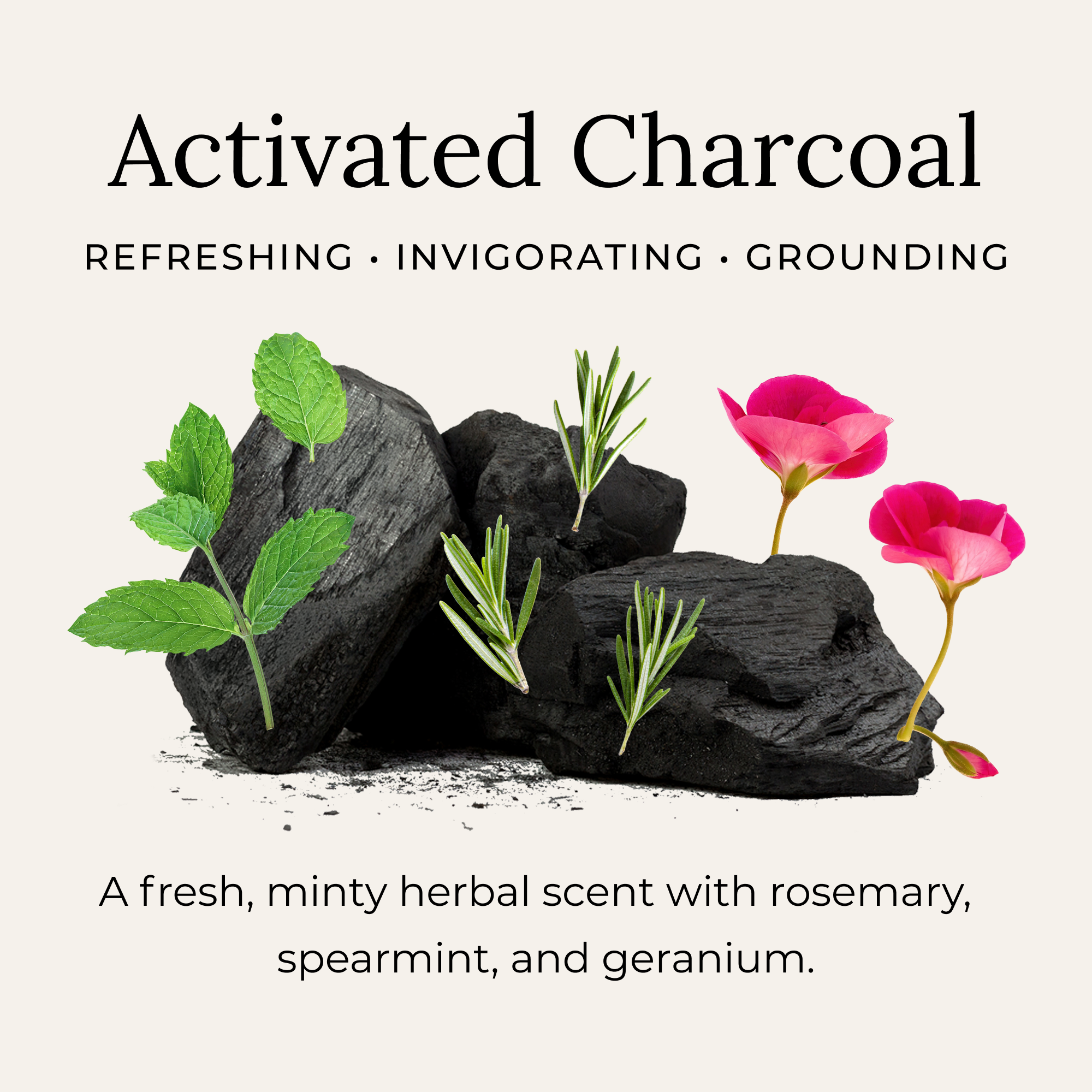 Activated Charcoal Deodorant Cream | Little Seed Farm