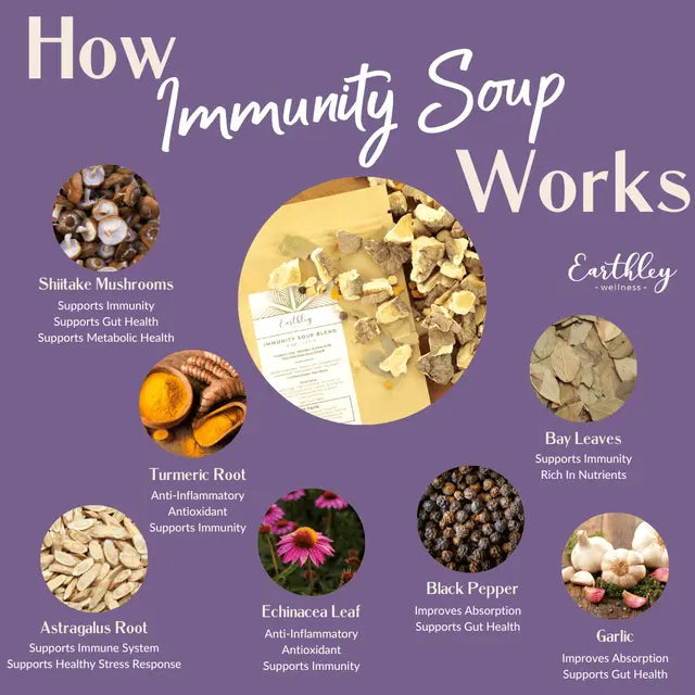 Immunity Soup | Earthley