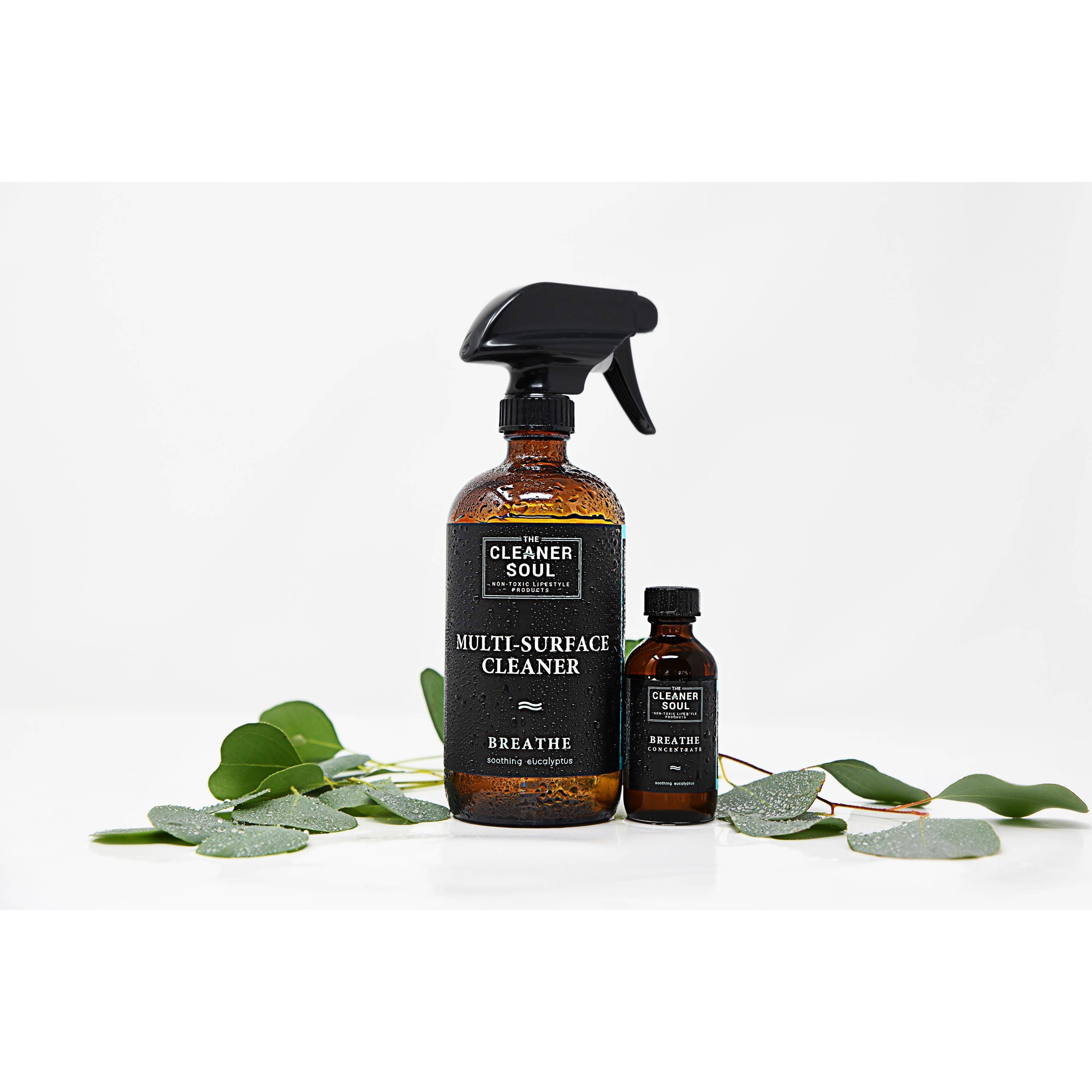 Multi Purpose Cleaner Concentrate | The Cleaner Soul